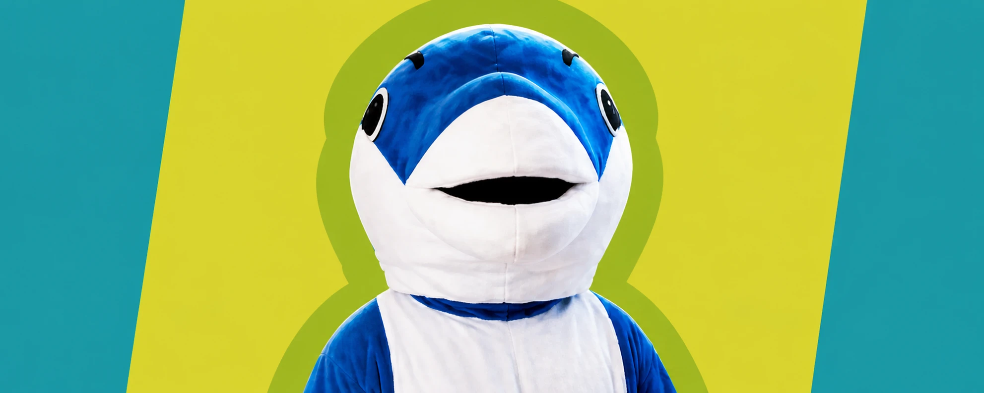 Photo of Dave, Delfin English School